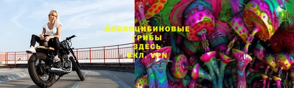 индика Балабаново