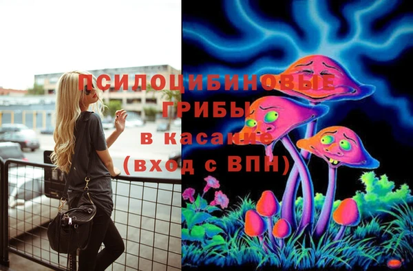 прущая мука Нея
