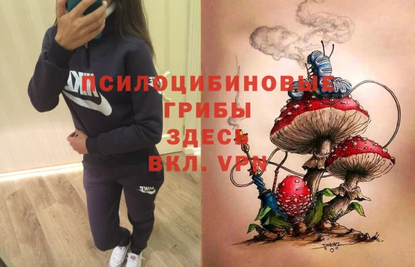 амфетамин Новозыбков