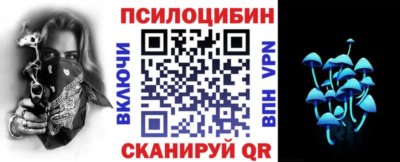 где можно купить наркотик  Белёв  Галлюциногенные грибы Psilocybe 