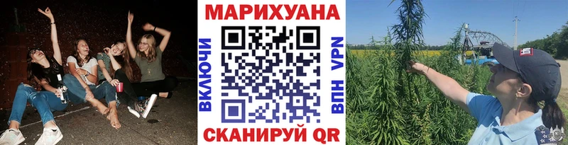 где купить   Белёв  Шишки марихуана конопля 